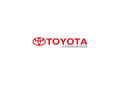 Toyota Chihuahua A4 Photo Print
