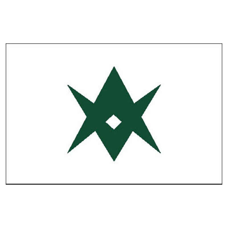 Toyota City Flag N2634 A4 Photo Print