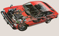 Toyota Corolla E30 cutaway A4 Photo Print