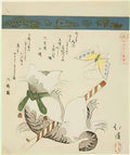 Toyota Hokkei cat playing with a toy butterfly 1828 Art A4 Photo Print