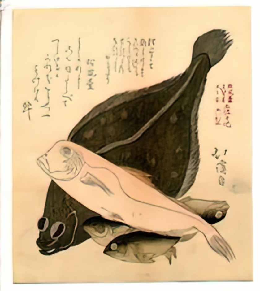 Toyota Hokkei fish Art A4 Photo Print