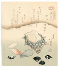 Toyota Hokkei seashells Art A4 Photo Print