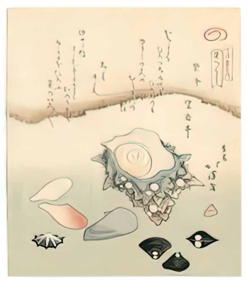 Toyota Hokkei seashells Art A4 Photo Print