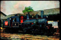 Trains USA 351079 Hillcrest Lumber Co. Climax Type Locomotive 9 A4 Limited Edition Watercolour Print