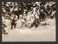 Trapping lynx Vintage A4 Photo Print