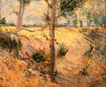 Trees In A Field On A Sunny Day Van Gogh A4 Photo Print