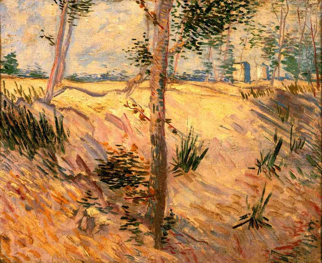 Trees In A Field On A Sunny Day Van Gogh A4 Photo Print
