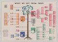 Trees Products Flowchart American World War II Advert Poster