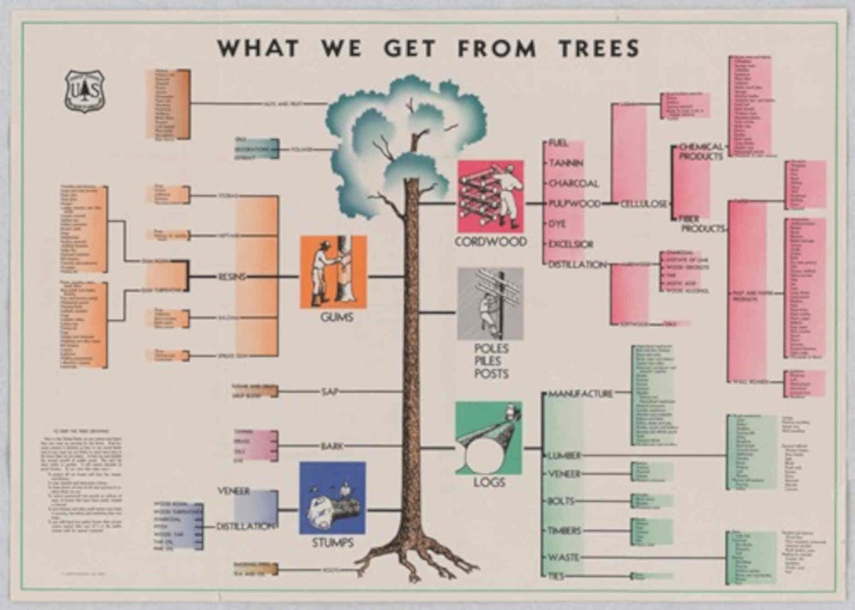 Trees Products Flowchart American World War II Advert Poster