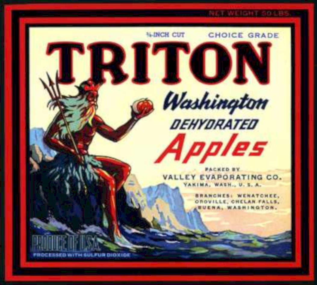 Triton Apples Label Vintage Retro Advert Ads A4 Photo Print