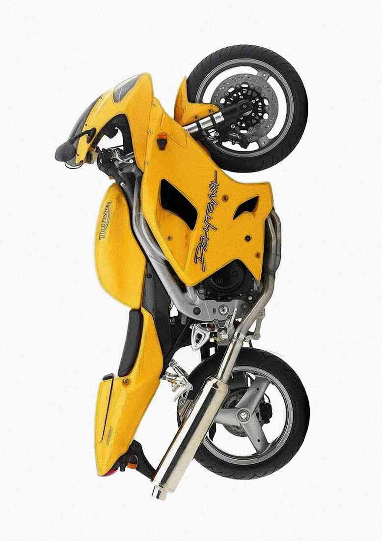 Triumph Daytona 955i 2004 pencil A4 Photo Print