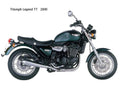 Triumph LegendTT 2000 motorbike A4 Photo Print