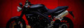 Triumph Speed Triple 2009 1 825x284 motorbike A4 Photo Print