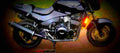 Triumph Speed Triple 900 1996 1 640x284 motorbike A4 Photo Print