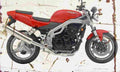 Triumph SpeedTriple 2004 Aged Vintage A4 Photo Print