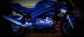 Triumph Sprint RS 2001 1 640x284 motorbike A4 Photo Print