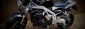 Triumph T509 Speed Triple 1998 1 825x284 motorbike A4 Photo Print