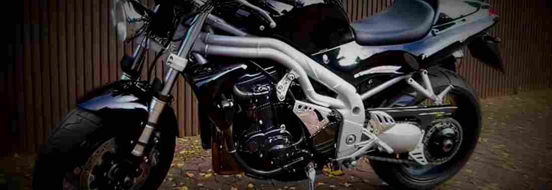 Triumph T509 Speed Triple 1998 1 825x284 motorbike A4 Photo Print