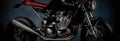 Triumph TT 600 2000 1 825x284 motorbike A4 Photo Print