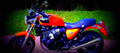 Triumph Thunderbird 2003 1 640x284 motorbike A4 Photo Print