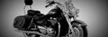 Triumph Thunderbird LT 2017 1 825x284 motorbike A4 Photo Print