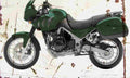 Triumph Tiger 2005 Aged Vintage A4 Photo Print