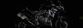 Triumph Tiger Explorer XR 2017 1 825x284 motorbike A4 Photo Print