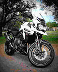 Triumph Tiger Explorer XRx 2017 1 motorbike A4 Photo Print
