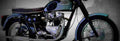 Triumph Trident 750 1991 1 825x284 motorbike A4 Photo Print