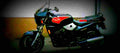 Triumph Trident 900 1995 1 640x284 motorbike A4 Photo Print