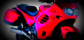 Triumph Trophy 900 2001 1 595x284 motorbike A4 Photo Print