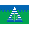 Troitsk City Flag N2484 A4 Photo Print