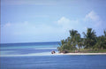 Tropical Beach Scene x A4 Photo Print 3