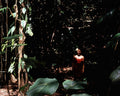 Tropical Portrait Woman A4 Photo Print