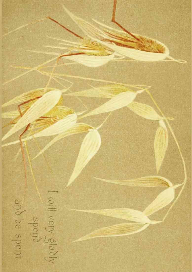 Trotter Isabella Lilias 1853 1928 Parables of the Cross 1890 I will very gladly A4 Photo Print