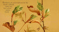 Trotter Isabella Lilias Parables of the Cross 1890 Reckon ye yourselves A4 Photo Print