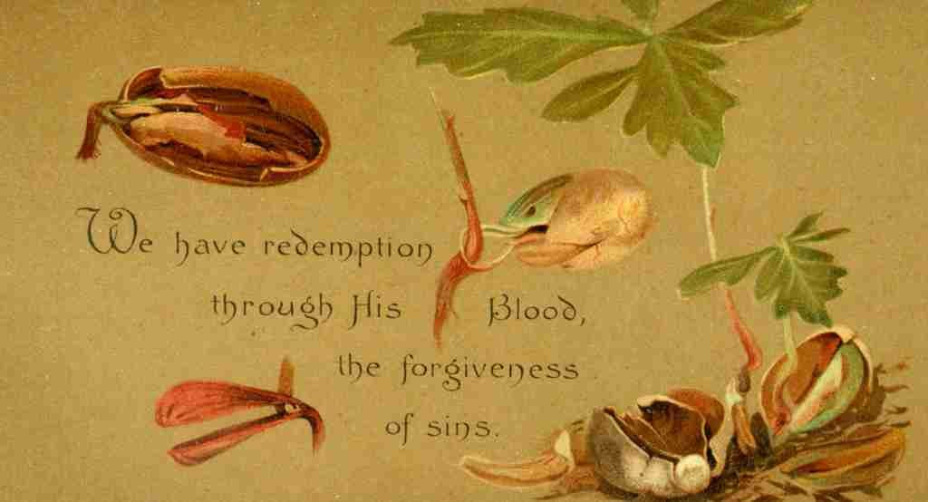 Trotter Isabella Lilias Parables of the Cross 1890 We have redemption A4 Photo Print