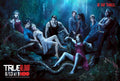 Trueblood3 Vintage Retro Advert Poster A4 Photo Print