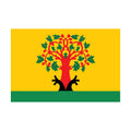 Tsivilsk City Flag N5374 A4 Photo Print