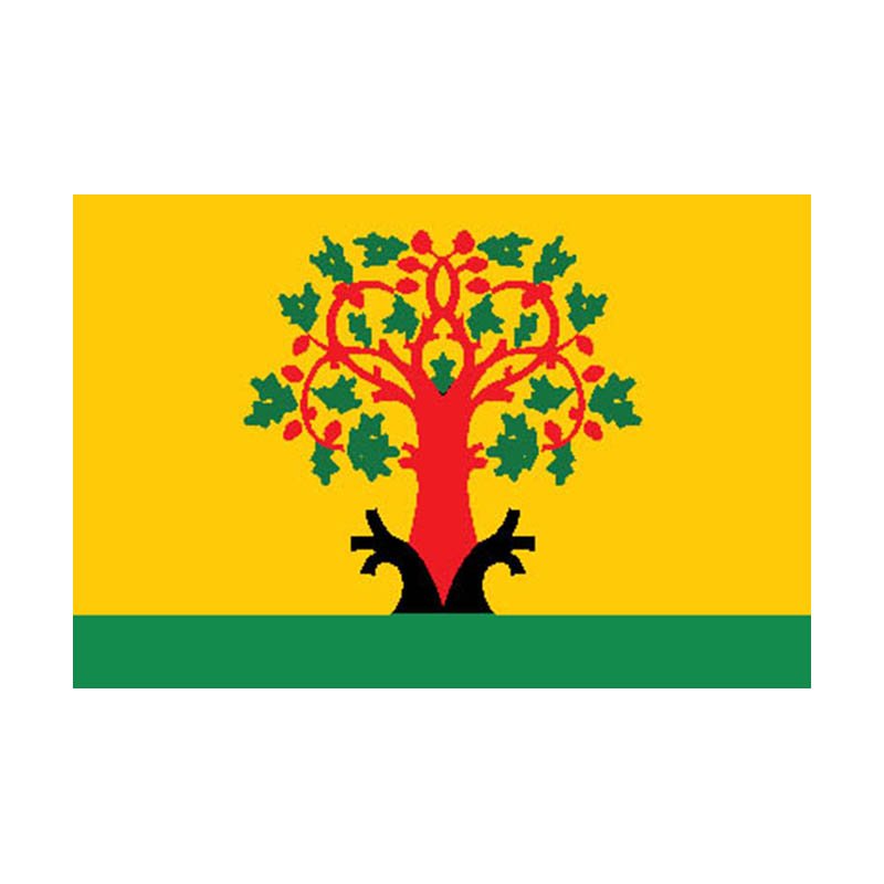 Tsivilsk City Flag N5374 A4 Photo Print