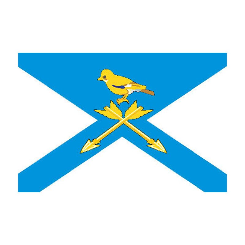Tugulymsky Rayon Flag N5490 A4 Photo Print