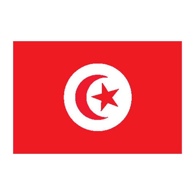 Tunisia Flag N1729 A4 Photo Print