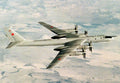 Tupolev Tu142 Bear 3 A4 Photo Print