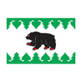 Turinsk City Flag N5492 A4 Photo Print