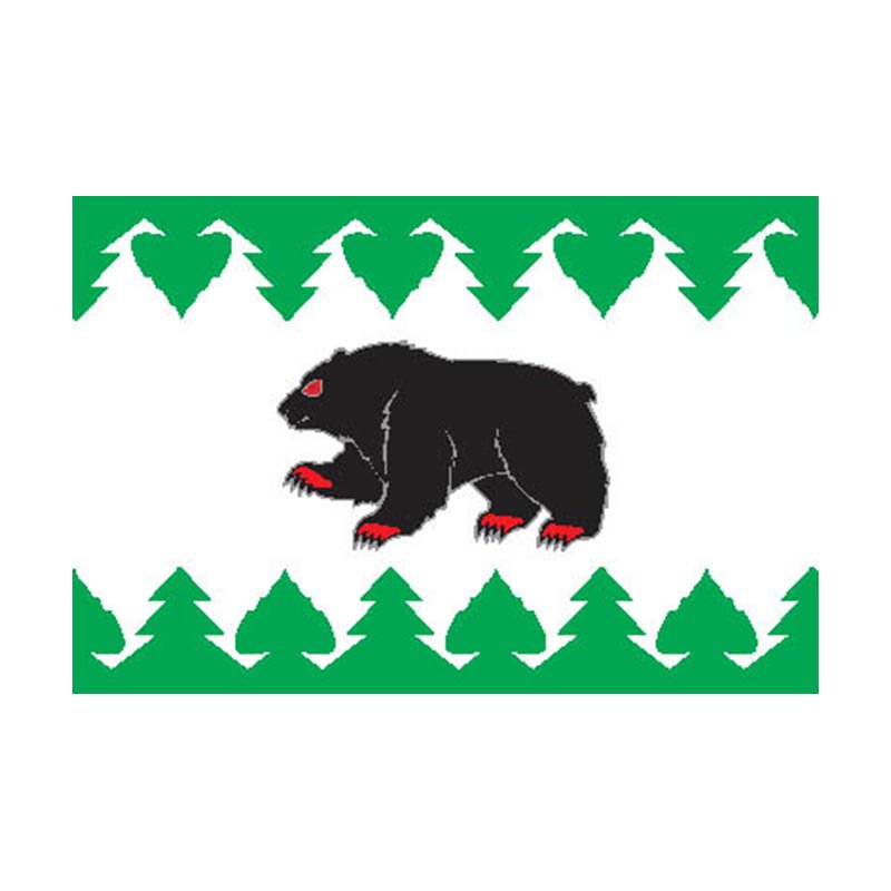 Turinsk City Flag N5492 A4 Photo Print