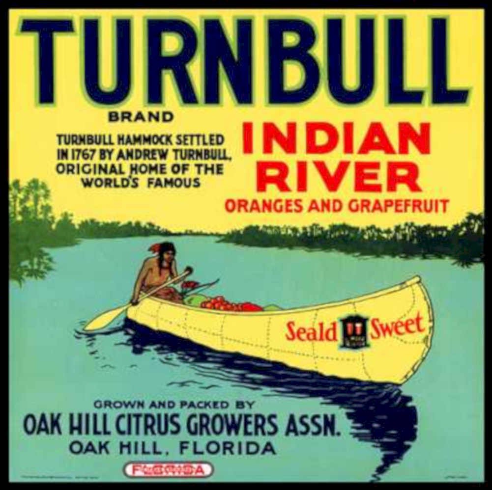 Turnbull River Oranges Vintage Retro Advert Ads A4 Photo Print