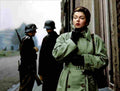 Turner Lana Betrayed z1 film star poster A4 Photo Print