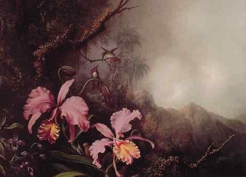 Two Orchids in a mountain Landscape A4 Photo Print