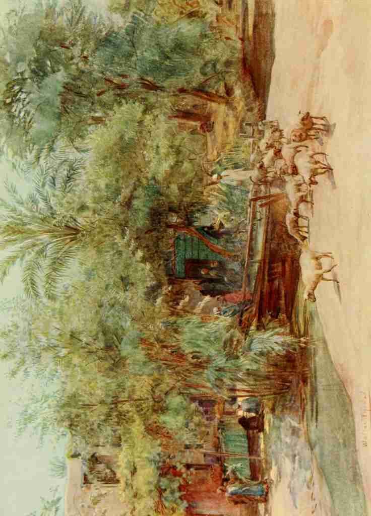 Tyndale Walter 1855 1943 An Artist in Egypt 1912 The village of Marg A4 Photo Print