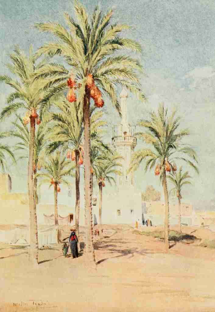 Tyndale Walter 1855 1943 Below the Cataracts 1907 The mosque at Aboukir A4 Photo Print